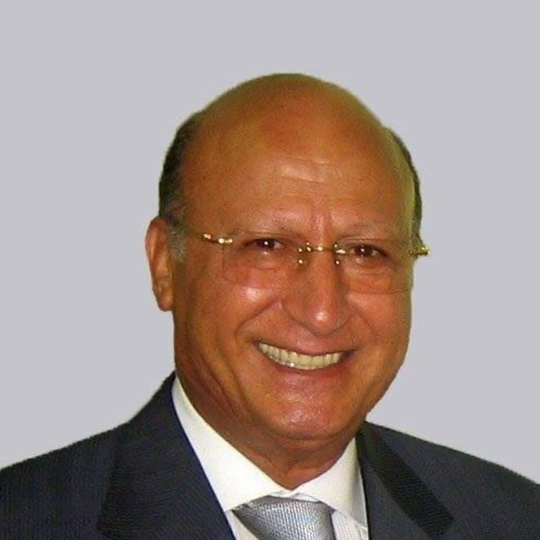 Prof. Ahmed Saqr Ashour